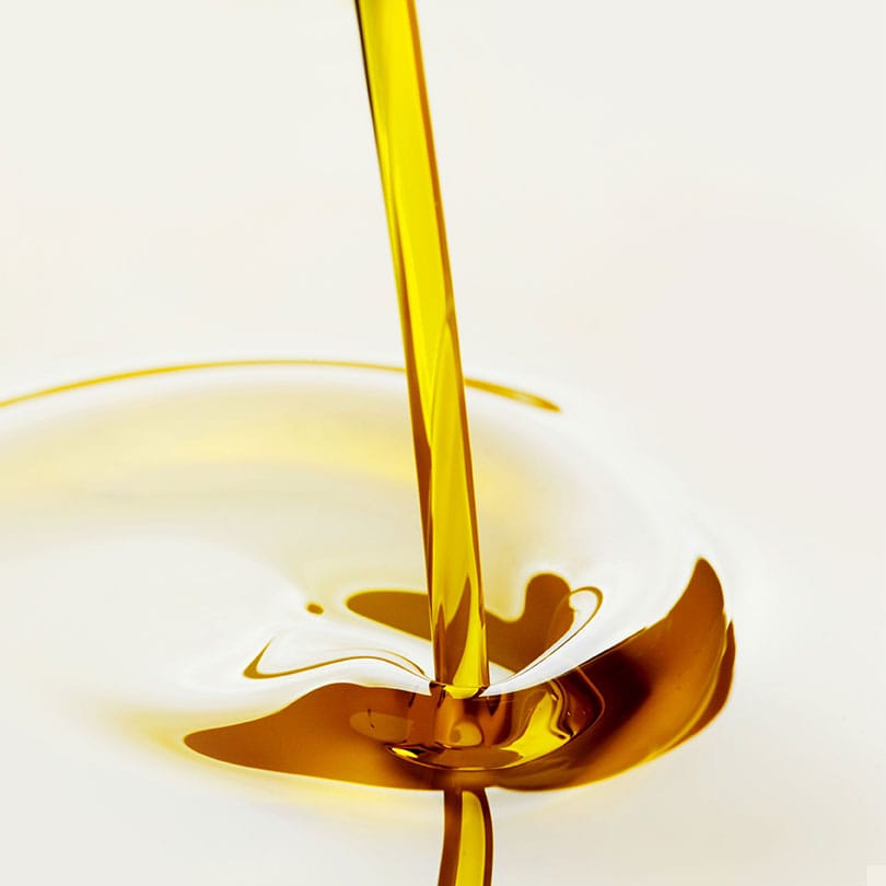 pure algae oil